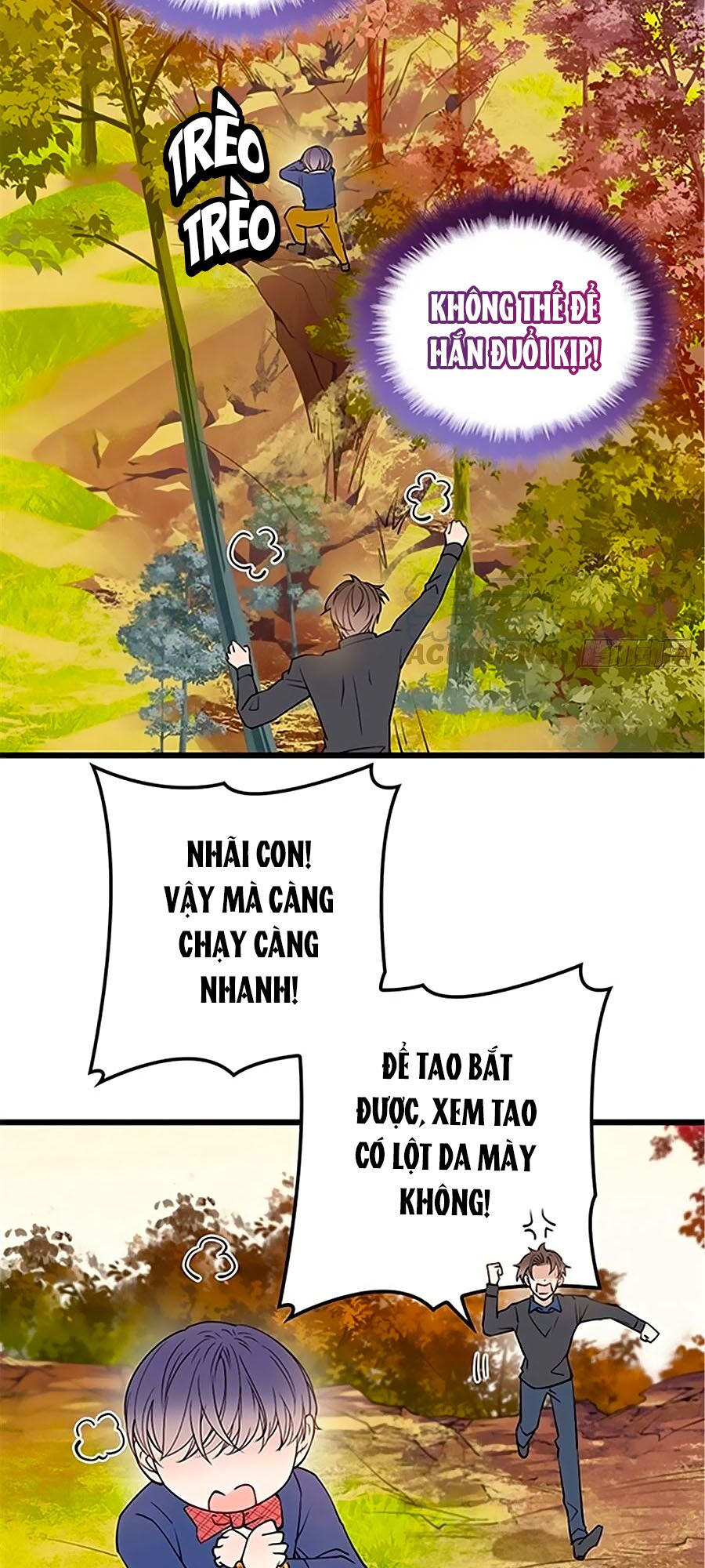 Truyện tranh