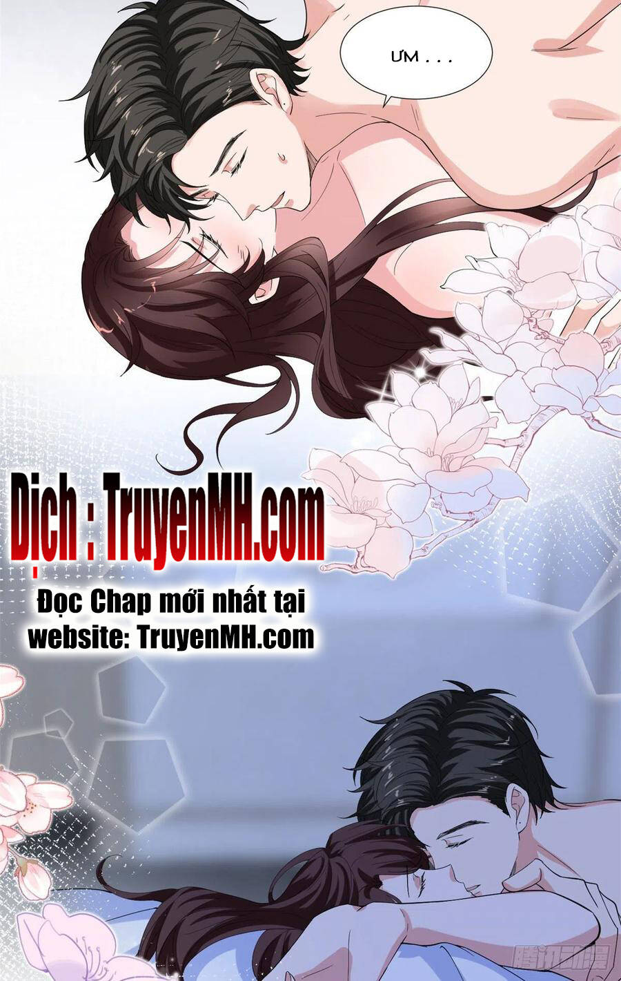 Truyện tranh