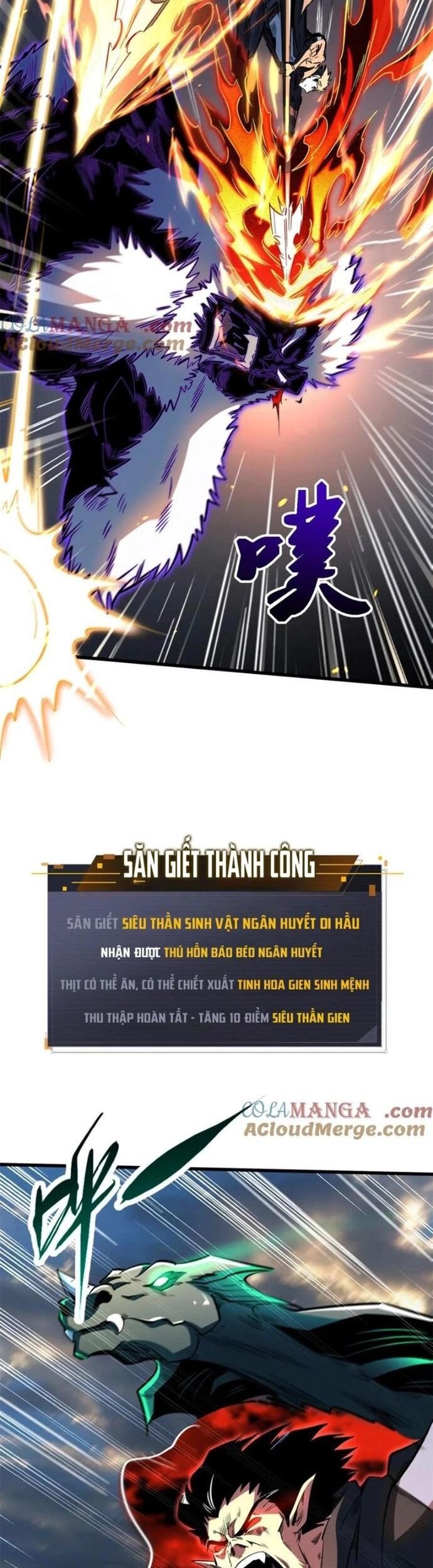 Truyện tranh